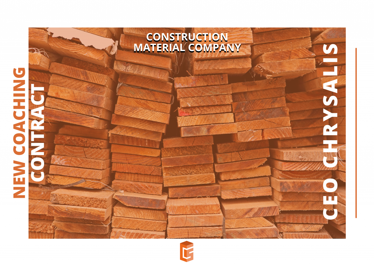 NEW PROJECT Construction material company BU CEO's development